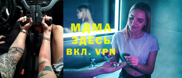 МДПВ Ельня