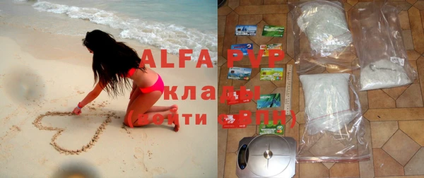 МДПВ Ельня