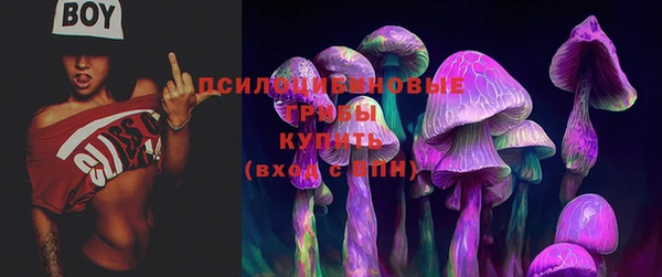 соль ск Дмитриев
