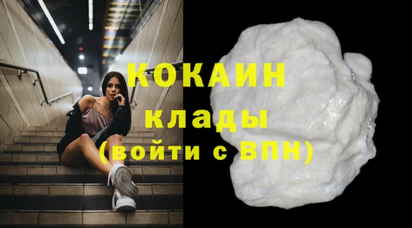 МДПВ Ельня