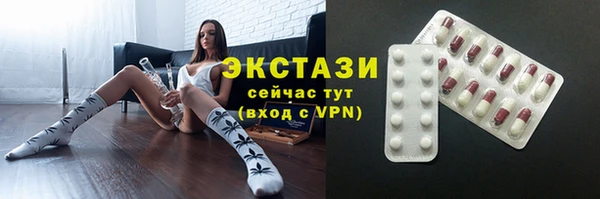 соль ск Дмитриев