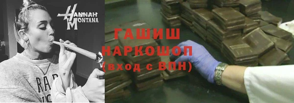 МДПВ Ельня