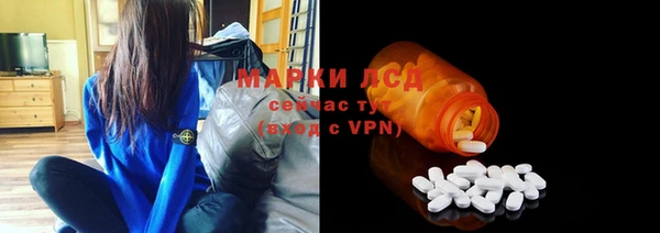 МДПВ Ельня