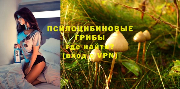 СК Дмитровск