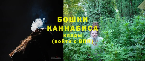 МДПВ Ельня