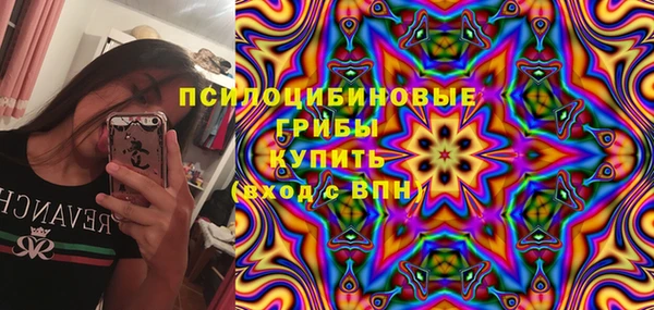 МДПВ Ельня
