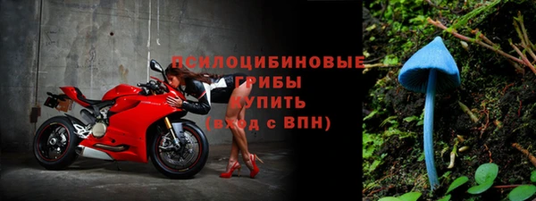 СК Дмитровск