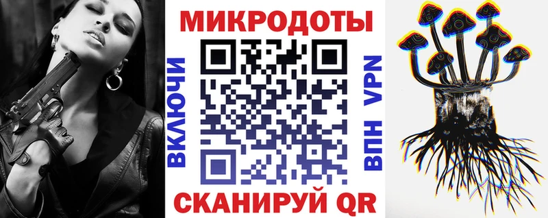 KRAKEN ТОР  Гаврилов Посад  Псилоцибиновые грибы GOLDEN TEACHER 